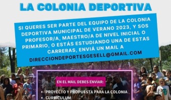 CONVOCATORIA  DE PROFESORES A LA COLONIA DEPORTIVA DE VERANO.