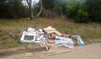 Limpieza en las localidades del sur