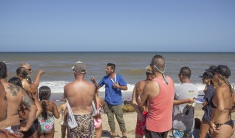 RECOMENDACIONES ANTE LA APARICIN DE FAUNA MARINA EN LA PLAYA