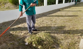 EL EQUIPO DEL VIVERO MUNICIPAL REALIZ TRABAJOS DE ACONDICIONAMIENTO EN LA ESCUELA TCNICA