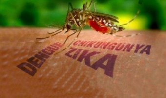 Ante el dengue, prevención