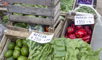 MERCADOS BONAERENSES SIGUE EN VILLA GESELL