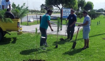 El aerdromo geselino recibi una donacin de rboles