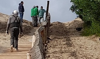 CORRALN SUR REALIZA MANTENIMIENTO EN LOS ACCESOS A LAS PLAYAS