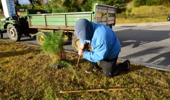 VIVERO AVANZA EN LA MEJORA DE ESPACIOS VERDES DE LA CIUDAD