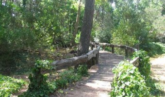 Pascuas en el Bosque