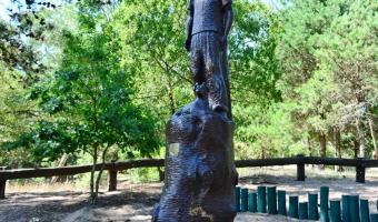 Horarios de temporada baja en el Pinar del Norte