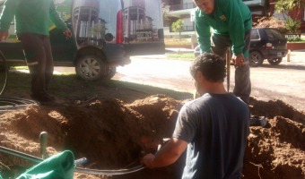 Al servicio de la Comunidad