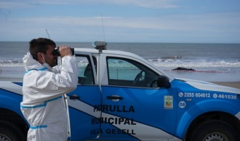 Acciones preventivas en playa ante posibles casos de Influenza Aviar en animales silvestres