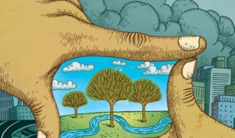 Reunin organizativa para Festival de Medio Ambiente