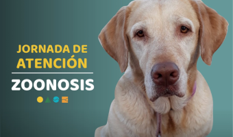 JORNADA DE DESPARASITACIN Y VACUNACIN