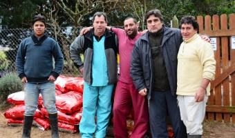 Entrega de alimentos a Apaade y a Provida
