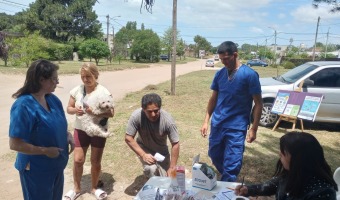 OPERATIVOS DE VACUNACIN Y DESPARASITACIN EN DISTINTOS PUNTOS DE VILLA GESELL