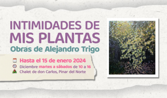 “INTIMIDADES DE MIS PLANTAS” EN EL CHALET DE DON CARLOS