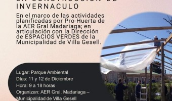 TALLER DE CONSTRUCCIN DE INVERNCULO: APRENDIZAJE Y CULTIVO EN EL NUEVO PARQUE AMBIENTAL