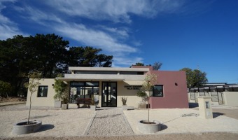 AYUDANOS A AYUDAR: BANCO DE MEDICAMENTOS DE LA DIRECCIN DE ZOONOSIS