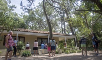 EN LA LTIMA SEMANA DEL AO, VISIT LOS MUSEOS DEL PINAR NORTE