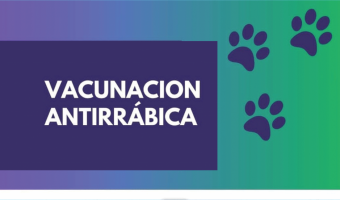 JORNADA DE VACUNACIN ANTIRRBICA ORGANIZADA POR ZOONOSIS