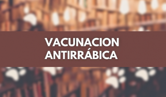 SE REALIZ UNA NUEVA JORNADA DE VACUNACIN ANTIRRBICA