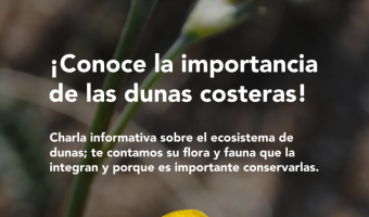 CONOC LA IMPORTANCIA DE LAS DUNAS COSTERAS