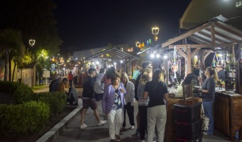 POLO CULTURAL SUR: UN ATRACTIVO QUE YA SE CONVIRTI EN UN CLSICO DE LA TEMPORADA