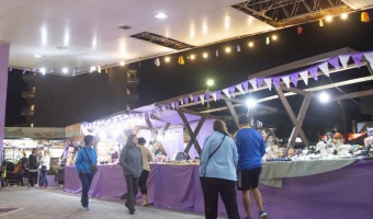 YA VISITASTE LA FERIA PUNTO VIOLETA?