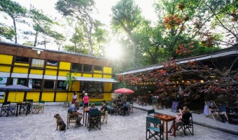 PARTICIP DE LOS TALLERES Y ACTIVIDADES EN EL TINGLADO