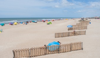 SEGUIMOS TRABAJANDO EN LA RESTAURACIN DEL MDANO COSTERO