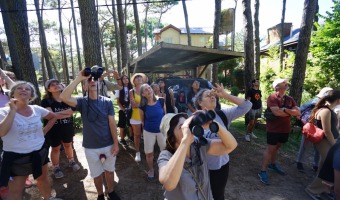 HERMOSA JORNADA DE OBSERVACIN DE AVES EN MAR DE LAS PAMPAS