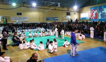 Taekwondo: Exitosa Copa Gesell