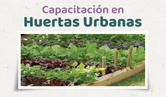CAPACITACIN EN HUERTAS URBANAS