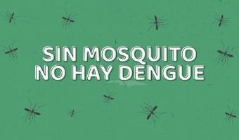 Se registr un caso de dengue autctono en Villa Gesell