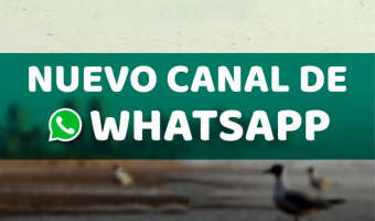 SUSCRIBITE AL NUEVO CANAL DE WHATSAPP DEL MUNICIPIO