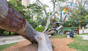 VILLA GESELL PALPITA LAS PASCUAS EN EL BOSQUE