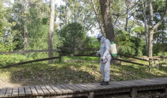 TAREAS DE PREVENCIN POR EL DENGUE EN EL PREDIO DE PASCUAS EN EL BOSQUE