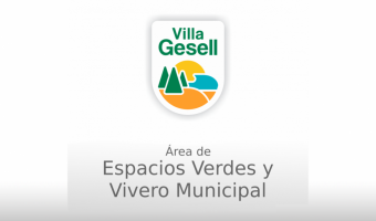 NUEVO CICLO DEL PROGRAMA DE REFORESTACIN