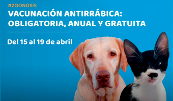 SE REALIZAR UNA CAMPAA DE VACUNACIN ANTIRRBICA GRATUITA EN VETERINARIAS PRIVADAS