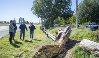 CIERRE DE ACCESOS CLANDESTINOS