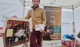 MS DE 600 DOSIS APLICADAS EN LA CAMPAA DE VACUNACIN ANTIRRBICA