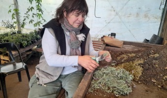 PROFUNDO PESAR POR EL FALLECIMIENTO DE LA TRABAJADORA MUNICIPAL TATI