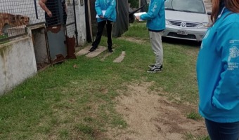 ZOONOSIS Y BROMATOLOGA REFUERZAN LAS ACCIONES PREVENTIVAS CONTRA EL DENGUE