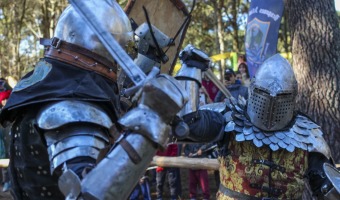 EL BOSQUE DE MAR AZUL SE LLEN DE MAGIA