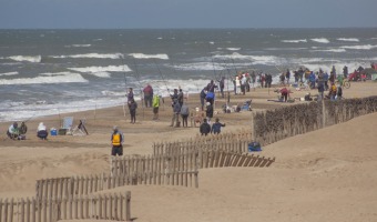 MÁS DE 630 INSCRIPCIONES ANTICIPADAS EN LA FIESTA NACIONAL DE LA BRÓTOLA