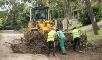 CORRALN REDOBLA LAS TAREAS DE RECOLECCIN DE RESTOS DE PODA Y RESIDUOS NO CONVENCIONALES