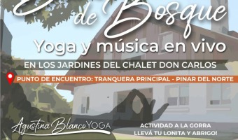 CONTINA EL CICLO DE CLASES DE YOGA LIBRES Y GRATUITAS