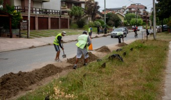 LA RECOLECCIN DE RAMAS Y RESIDUOS SIGUE EN ZONA SUR Y LA SEMANA PRXIMA COMENZAR EN BARRIO NORTE