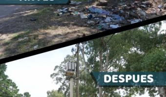 TRABAJOS DE CORRALN EN MONTE RINCN: ANTES Y DESPUS