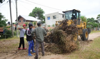 RECOLECCIN DE PODA: SE FINALIZ EN BARRIO NORTE Y AVANZAN LOS TRABAJOS EN DIVERSOS BARRIOS