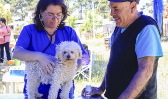 JORNADA DE VACUNACIN ANTIRRBICA Y ATENCIN CLNICA VETERINARIA EN EL BARRIO LA ESPERANZA