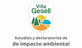 ESTUDIOS Y DECLARATORIAS DE IMPACTO AMBIENTAL